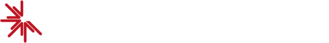Pirotecnica Store Latina